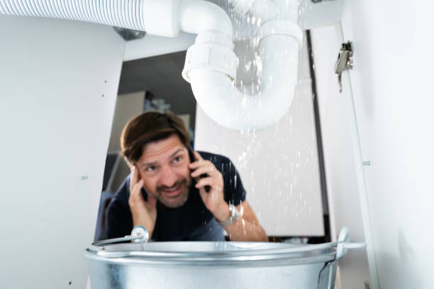 Best Local Plumber Services  in Lakewood, CO